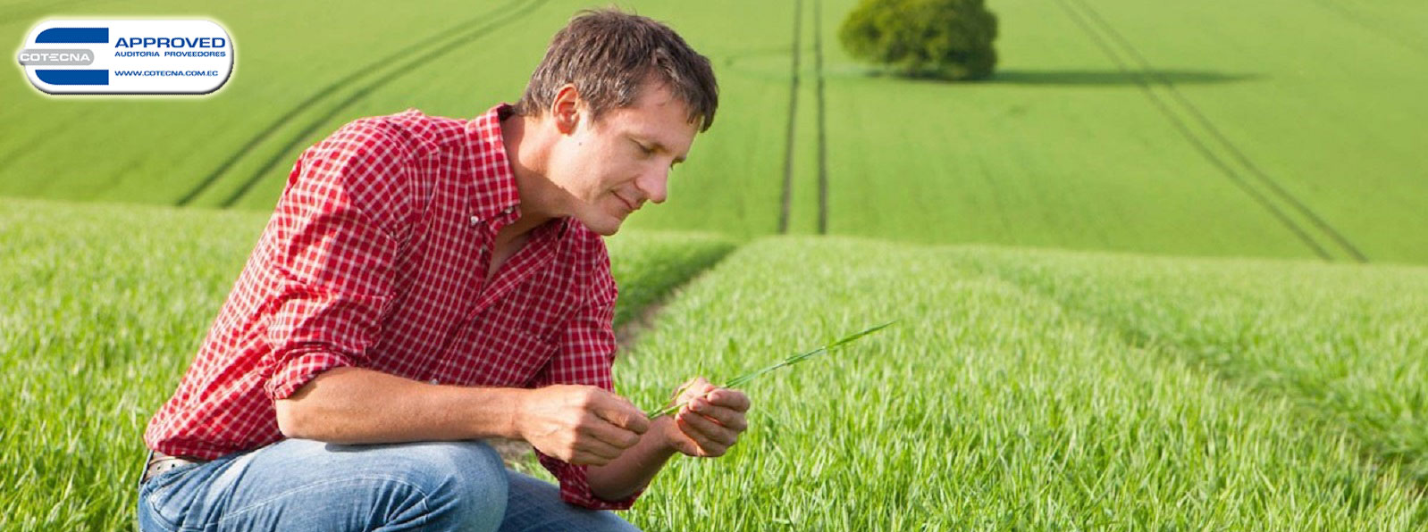 Asesoría en técnicas de agricultura de precisión en cultivos